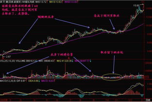 青龙取水选股公式输入完后怎么选股