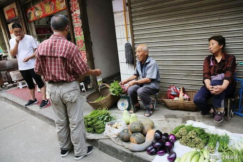 秦岭小城边的蔬菜村,老人们生活在仙境里,用老办法种菜进城卖