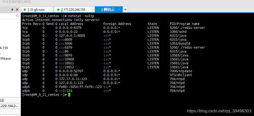 linux查看端口占用,使用lsof命令查看端口占用