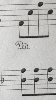 乐谱上这几个字母是什么意思呢 