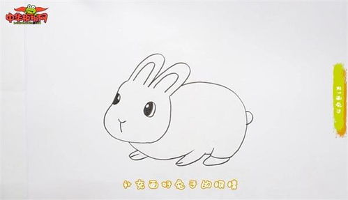小白兔简笔画 兔的简笔画法