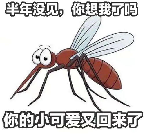 关于蚊子的寿命真相，短则三五天长则一个月(短命鬼)(蚊子的寿命短吗)