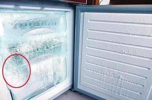冰箱结冰真不能小看它,电费上涨厉害,使用这招,不结冰了 冷冻室 