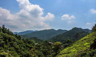 清远市笔架山风景区有停车场吗 (清远免费室内停车场有哪些)