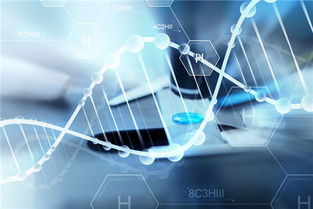 DNA存储数据技术 基因芯片概念股有哪些股票?基本面分析