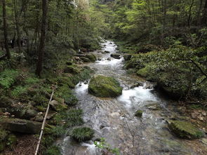 写游山玩水的经典诗句 关于游山玩水的诗句