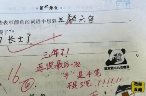 95后女教师 独特 阅卷方式走红,评语让人忍俊不禁,段子手附体