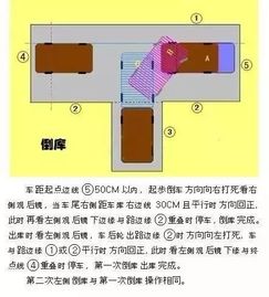 科目二 科目三考试最全技巧攻略 再不用担心挂科 