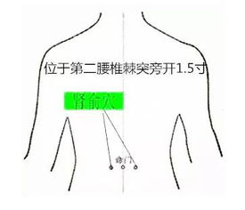 冬病夏治,三伏天是艾灸效果最好的时候 传艾微课