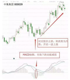 股市中的空头市场是怎么回事