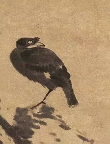 八大山人画鸟,为什么常常是一只脚