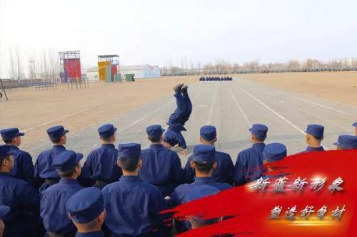 大队训练方案模板(大队训练方案模板怎么写)