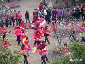 木棉花开舞蹈考级,中国民族民间舞四级有些什么舞蹈