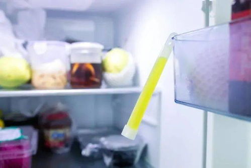 冰箱异味严重 细菌滋生 德国含氯除菌棒,扔一支30天保鲜 杀菌