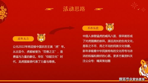 2022虎年新春文化节 虎力全开主题 活动策划方案