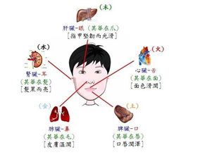 五这个数字与中医大有关系,搞清楚还真的不容易