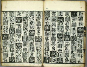 孙丕显 廿体千字文 包括了鸟虫书, 九叠文等难的一见的字体之二 
