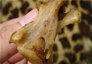 全球最大豹骨卖家 竟是宜宾山区老师 1230公斤豹骨来源成谜 