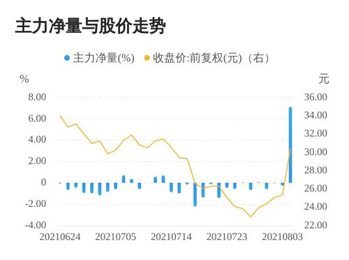 8月4日科创板主力资金流向