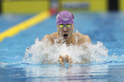 亚运会游泳金牌最多的选手,亚运会游泳金牌最多的选手是谁