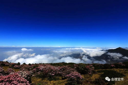 会理加大龙肘山风景名胜区和黄柏林区管护力度