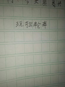 日记二年级50字怎么写 