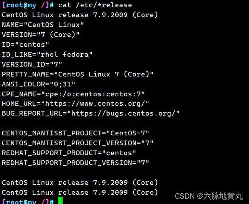 linux添加路由命令详解,一、什么是路由？