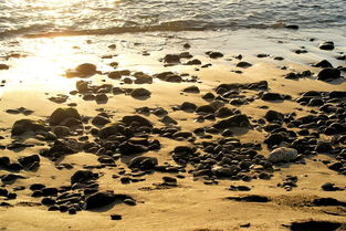 海滩,海,砂,海洋,景观,夏季,岩 