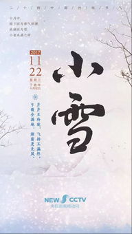 今日小雪,该御寒保暖啦 