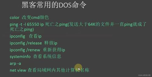 dos(DOS是什么操作系统？)