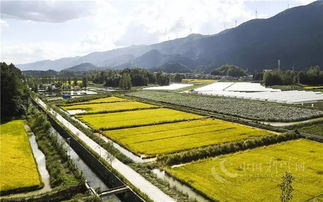 湖北利川,介绍湖北利川