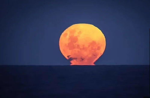 今晚,澳洲夜空将升起 草莓月亮 各地最佳观赏时间注意了