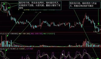 材料类的股票怎么预测涨跌