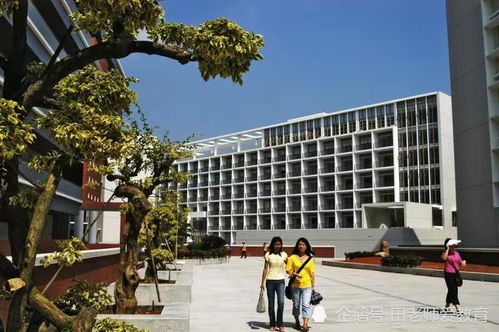 <a href='http://sz.ptotour.com/around/cs/shenzhen/'  target='_blank'>深圳</a>大学2020年广东省本科各专业录取分数统计