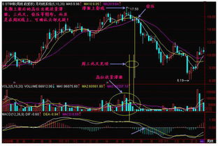 期货，炒股，如何选股，如何买，如何卖？求指教