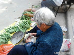 七旬老人卖菜每天只挣15元,一遍遍数钱却无尽满足