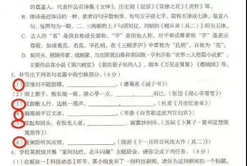 今年临沂中考语文作文范文,2023临沂中考作文题目起的是不经风雨，何以见彩虹好吗？