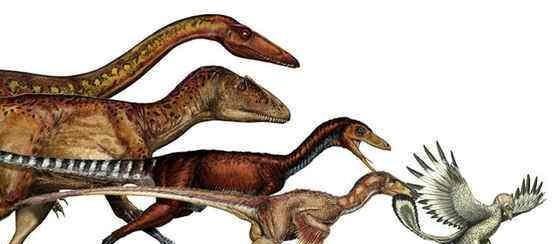 恐龙长什么样子祖先图片