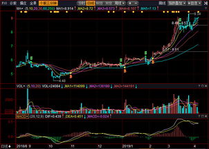 大立科技股票,大立科技公司简介