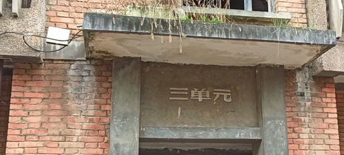 宝鸡深山中的军工厂,搬迁后荒废大片住宅楼,两万一套要不要