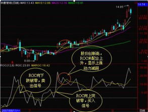 如何活用ROC指标