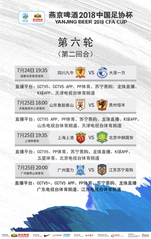 上港对国安足协杯笫二回合,上港vs国安集锦