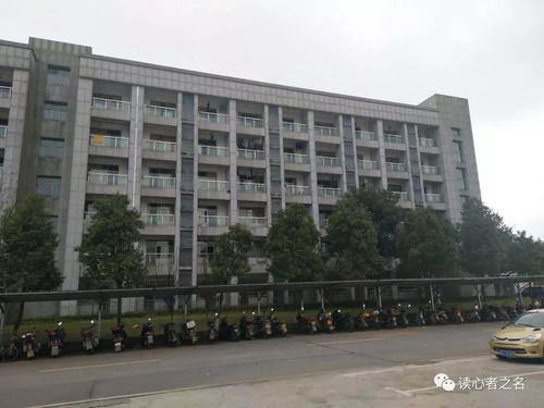 长沙学护理的大学,湖南好的护理学校