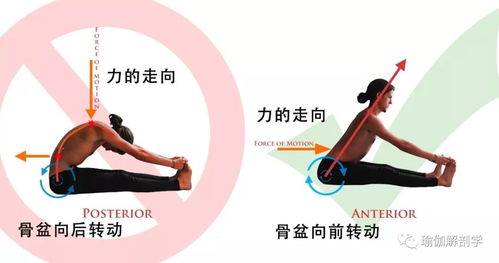初学者练瑜伽,这6大 正位 原则一定要知道