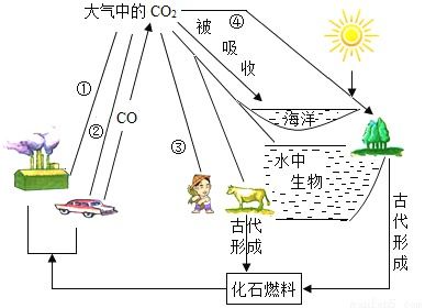 为什么碳元素的价态这么多求大神帮助