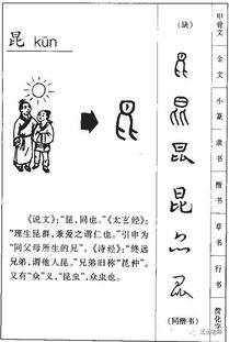 舒阳同学聊汉字 4 昆