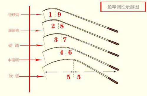 鱼竿几调是怎么回事,鱼竿几调指的是鱼竿的调性，是衡量鱼竿弯曲程度的一个标准,第1张