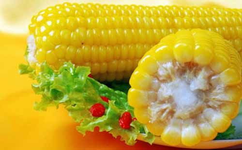 夏天到了吃玉米养生保健,治疗多种疾病,那么怎样煮玉米才最好吃