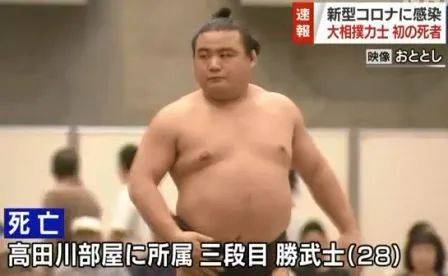 日本史上最重相扑,一年内狂减 200 斤以后,竟然感觉有点萌