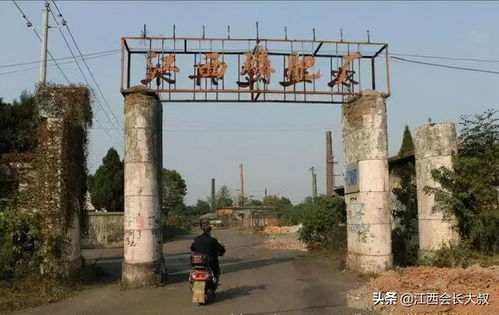 江西抚州东乡江西磷肥厂天气预报
